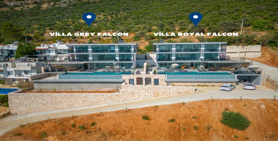 Villa Royal Falcon