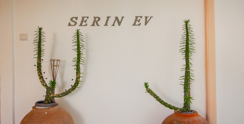 Villa Serin Ev